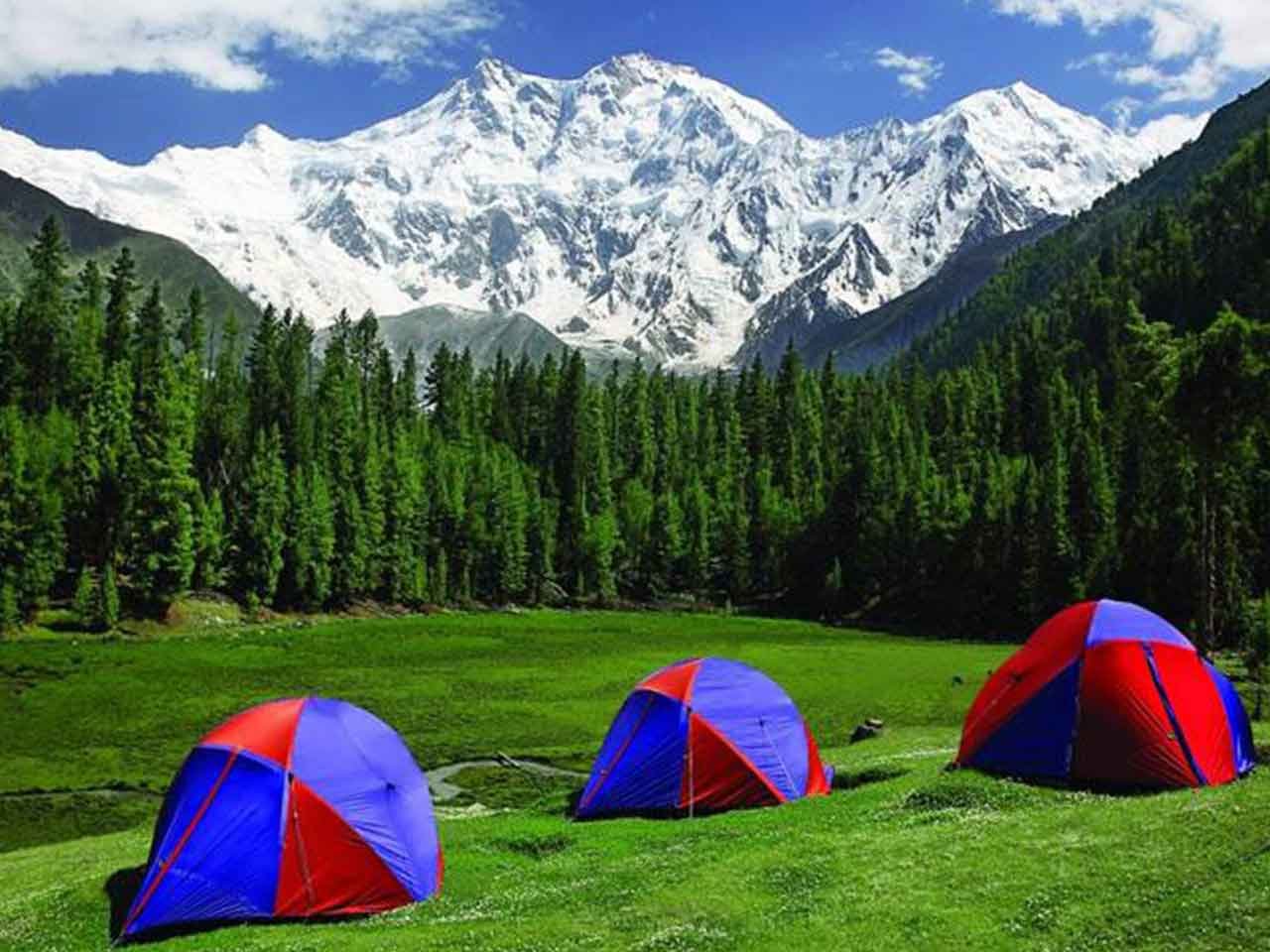 fairy-meadows-dream-vista-travel